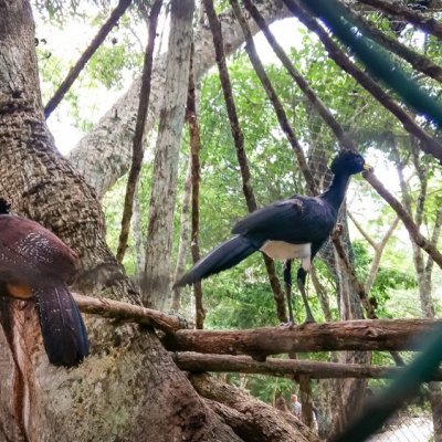 Parc Tulum akumal natura rescue - Local Tourmake